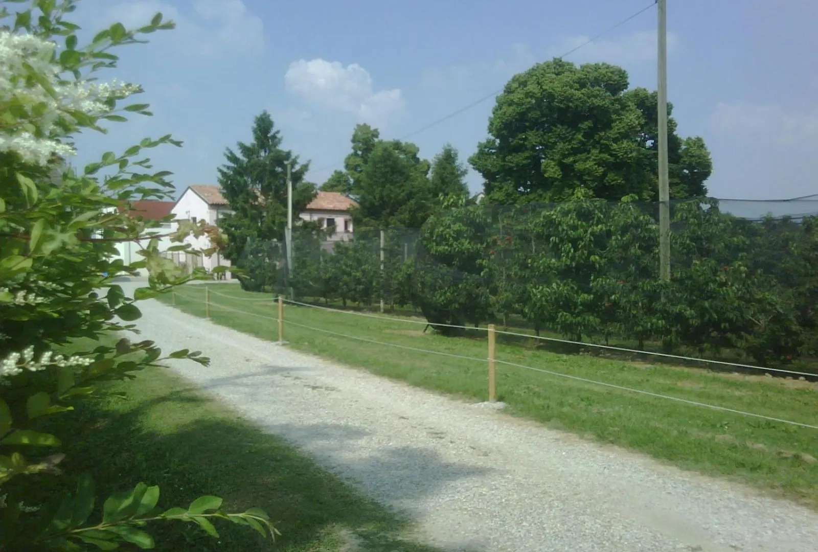 Alloggio per agriturismo Agriturismo Alla Casella Ferrara